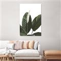 Picture of Focus of White Flower Peace Lily _GroupedProduct_Rectangle_Portrait_Canvas_