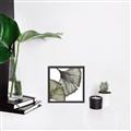 Picture of Ginko Leaves I _GroupedProduct_Square_Canvas_Framed_