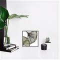 Picture of Ginko Leaves I _GroupedProduct_Square_Canvas_Framed_