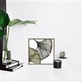 Picture of Ginko Leaves I _GroupedProduct_Square_Canvas_Framed_