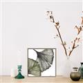 Picture of Ginko Leaves I _GroupedProduct_Square_Canvas_Framed_