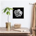 Picture of Black and White Rose _GroupedProduct_Square_Canvas_Framed_