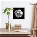 Picture of Black and White Rose _GroupedProduct_Square_Canvas_Framed_