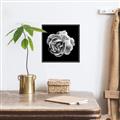 Picture of Black and White Rose _GroupedProduct_Square_Canvas_Framed_