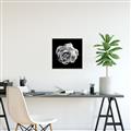 Picture of Black and White Rose _GroupedProduct_Square_Canvas_Framed_