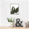Picture of Focus of White Flower Peace Lily _GroupedProduct_Rectangle_Portrait_Canvas_Framed_