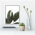 Picture of Focus of White Flower Peace Lily _GroupedProduct_Rectangle_Portrait_Canvas_Framed_