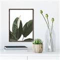 Picture of Focus of White Flower Peace Lily _GroupedProduct_Rectangle_Portrait_Canvas_Framed_