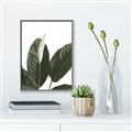 Picture of Focus of White Flower Peace Lily _GroupedProduct_Rectangle_Portrait_Canvas_Framed_