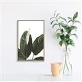 Picture of Focus of White Flower Peace Lily _GroupedProduct_Rectangle_Portrait_Canvas_Framed_