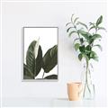 Picture of Focus of White Flower Peace Lily _GroupedProduct_Rectangle_Portrait_Canvas_Framed_