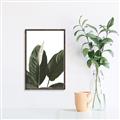 Picture of Focus of White Flower Peace Lily _GroupedProduct_Rectangle_Portrait_Canvas_Framed_