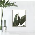 Picture of Focus of White Flower Peace Lily _GroupedProduct_Rectangle_Portrait_Canvas_Framed_