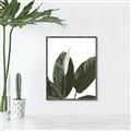 Picture of Focus of White Flower Peace Lily _GroupedProduct_Rectangle_Portrait_Canvas_Framed_