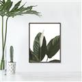 Picture of Focus of White Flower Peace Lily _GroupedProduct_Rectangle_Portrait_Canvas_Framed_