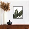 Picture of Focus of White Flower Peace Lily _GroupedProduct_Rectangle_Portrait_Canvas_Framed_
