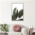 Picture of Focus of White Flower Peace Lily _GroupedProduct_Rectangle_Portrait_Canvas_Framed_