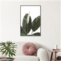 Picture of Focus of White Flower Peace Lily _GroupedProduct_Rectangle_Portrait_Canvas_Framed_