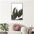 Picture of Focus of White Flower Peace Lily _GroupedProduct_Rectangle_Portrait_Canvas_Framed_