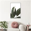 Picture of Focus of White Flower Peace Lily _GroupedProduct_Rectangle_Portrait_Canvas_Framed_