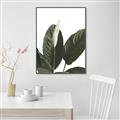 Picture of Focus of White Flower Peace Lily _GroupedProduct_Rectangle_Portrait_Canvas_Framed_