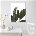 Picture of Focus of White Flower Peace Lily _GroupedProduct_Rectangle_Portrait_Canvas_Framed_