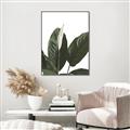 Picture of Focus of White Flower Peace Lily _GroupedProduct_Rectangle_Portrait_Canvas_Framed_