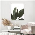 Picture of Focus of White Flower Peace Lily _GroupedProduct_Rectangle_Portrait_Canvas_Framed_