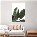 Picture of Focus of White Flower Peace Lily _GroupedProduct_Rectangle_Portrait_Canvas_Framed_