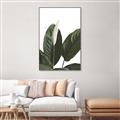 Picture of Focus of White Flower Peace Lily _GroupedProduct_Rectangle_Portrait_Canvas_Framed_