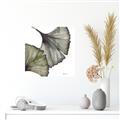 Picture of Ginko Leaves I _GroupedProduct_Square_Unframed_Print_Only_