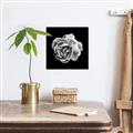 Picture of Black and White Rose _GroupedProduct_Square_Unframed_Print_Only_