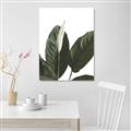 Picture of Focus of White Flower Peace Lily _GroupedProduct_Rectangle_Portrait_Unframed_Print_Only_