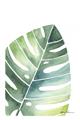 Picture of Tropical Leaf II _GroupedProduct_Rectangle_Portrait_Unframed_Print_Only_