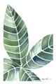 Picture of Tropical Leaf IV _GroupedProduct_Rectangle_Portrait_Unframed_Print_Only_
