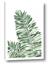 Picture of Tropical Leaf III