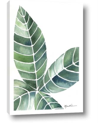 Picture of Tropical Leaf IV
