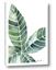 Picture of Tropical Leaf IV