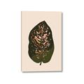 Picture of Color Block Leaves I  _GroupedProduct_Rectangle_Portrait_Canvas_