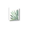 Picture of Tropical Leaf I  _GroupedProduct_Rectangle_Portrait_Canvas_