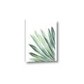 Picture of Tropical Leaf I  _GroupedProduct_Rectangle_Portrait_Canvas_