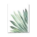 Picture of Tropical Leaf I  _GroupedProduct_Rectangle_Portrait_Canvas_