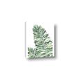 Picture of Tropical Leaf III _GroupedProduct_Rectangle_Portrait_Canvas_