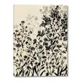 Picture of Shadow Garden I  _GroupedProduct_Rectangle_Portrait_Canvas_
