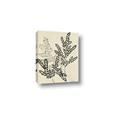 Picture of Shadow Botanical I  _GroupedProduct_Rectangle_Portrait_Canvas_