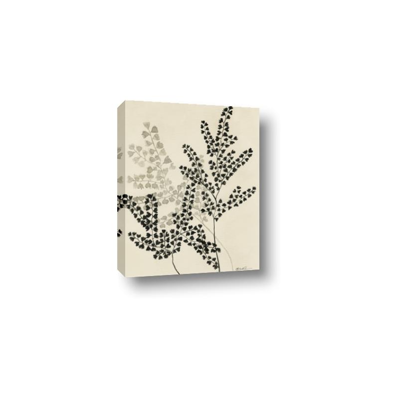 Picture of Shadow Botanical I  _GroupedProduct_Rectangle_Portrait_Canvas_