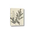 Picture of Shadow Botanical I  _GroupedProduct_Rectangle_Portrait_Canvas_