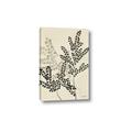 Picture of Shadow Botanical I  _GroupedProduct_Rectangle_Portrait_Canvas_