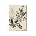 Picture of Shadow Botanical I  _GroupedProduct_Rectangle_Portrait_Canvas_