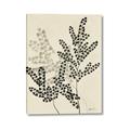 Picture of Shadow Botanical I  _GroupedProduct_Rectangle_Portrait_Canvas_